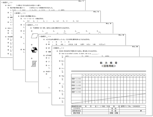 能力検査診断結果サンプル